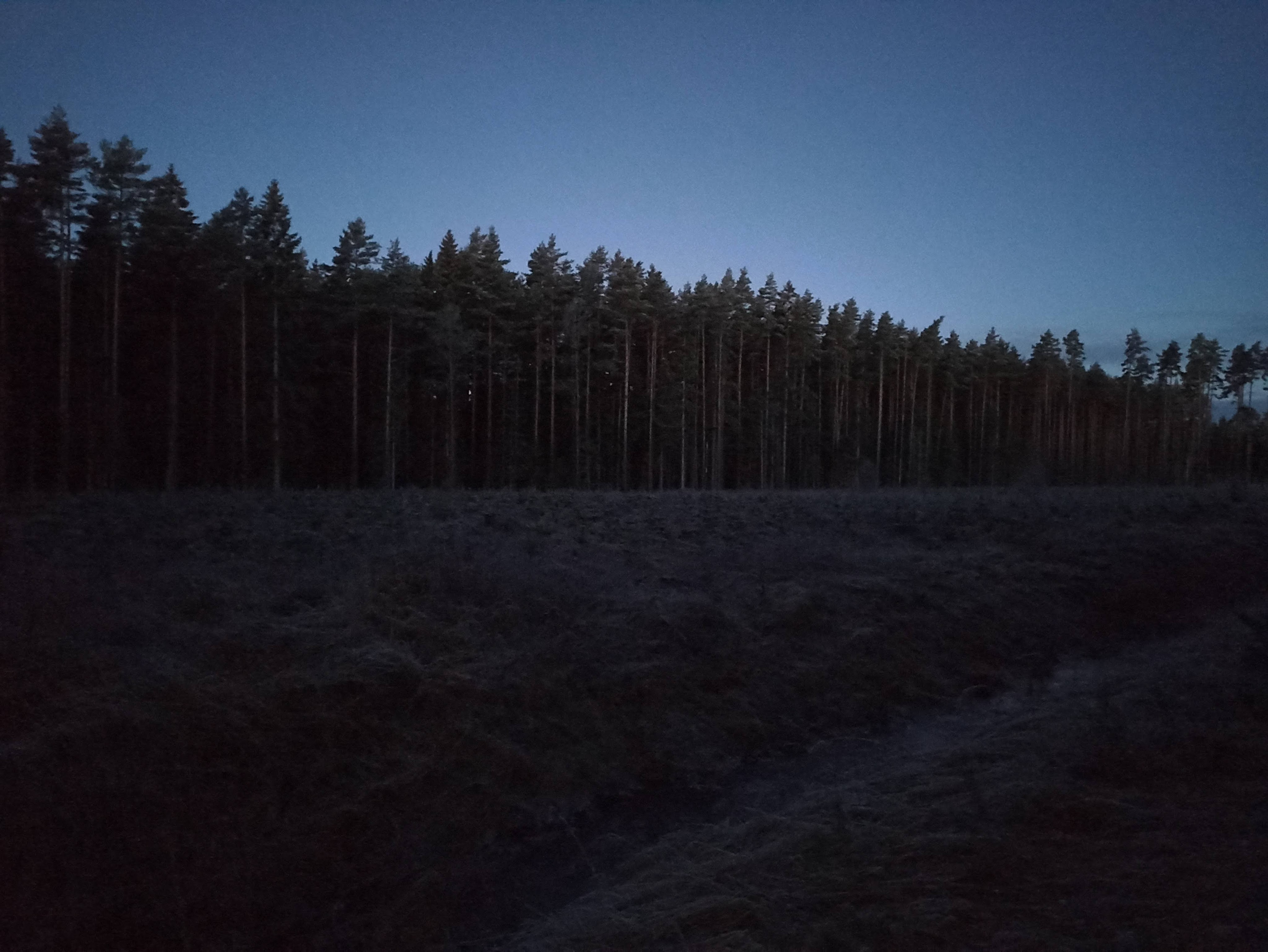 ( Sākums pilnīgā tumsā bija kas mazliet neierasts)