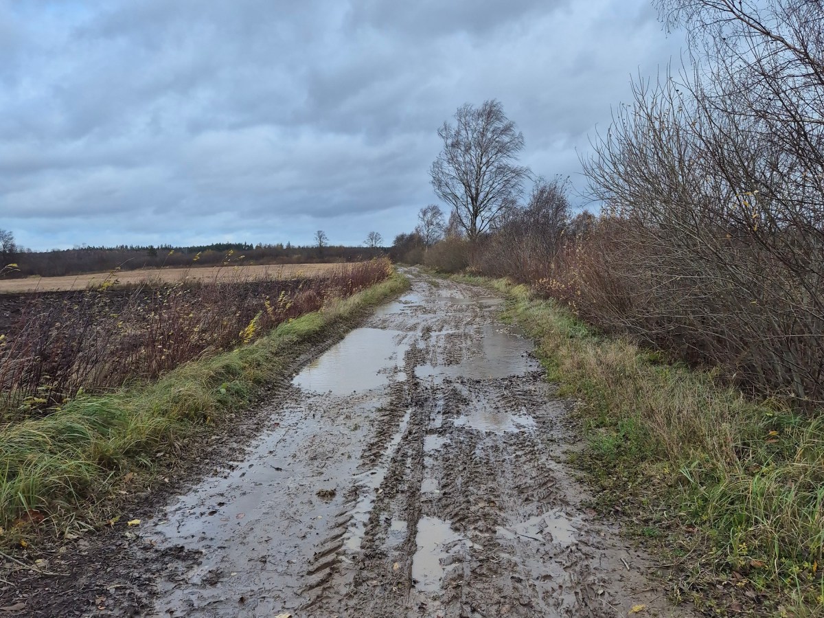 Vējam skatoties acīs