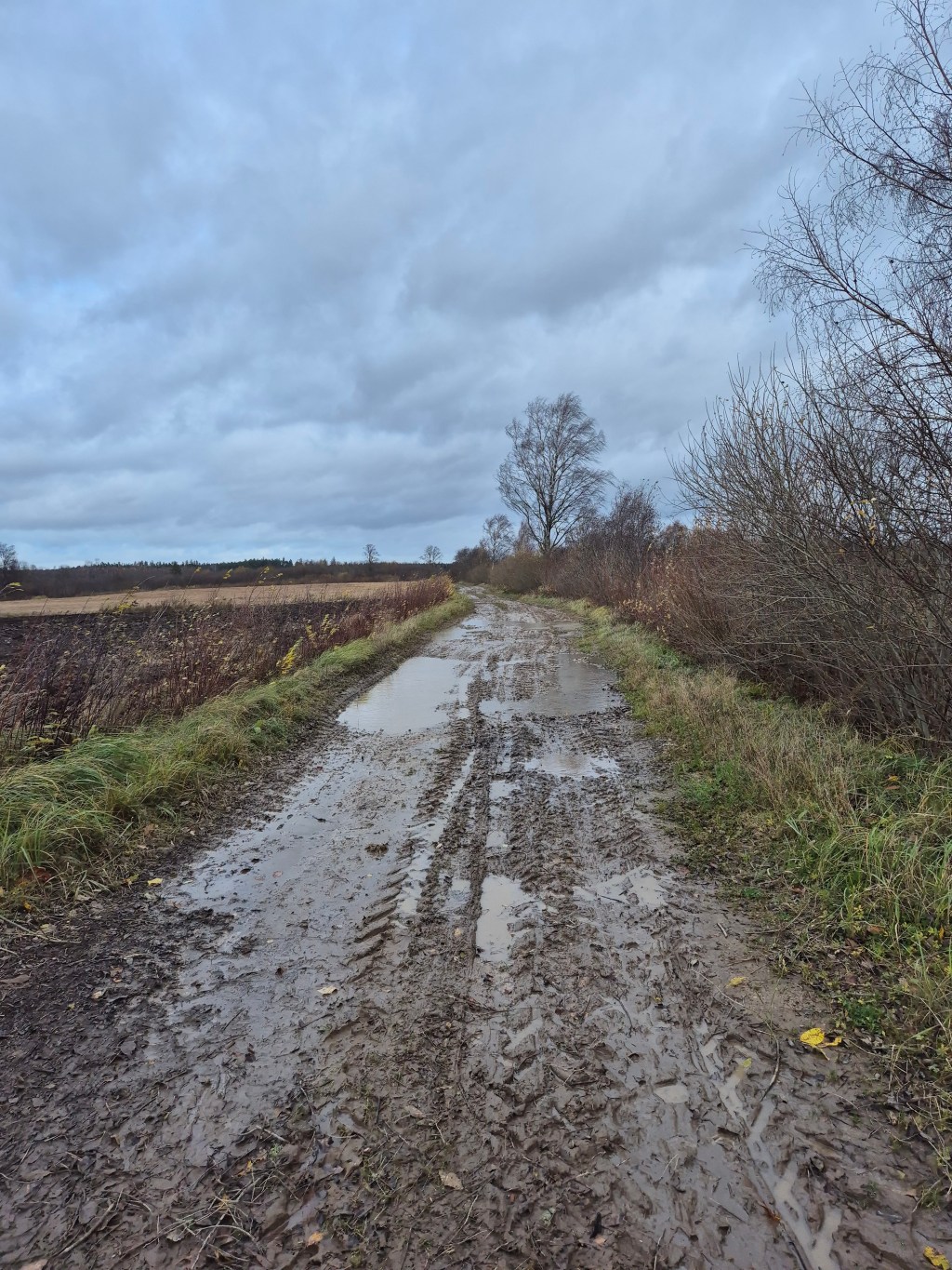 Vējam skatoties acīs